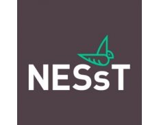 NESsT Hungary