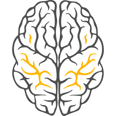 Neuropedia for Training and Sc
