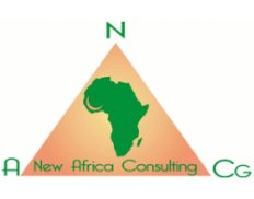 New Africa Consulting Groups