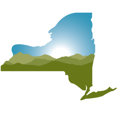 New York Health Foundation (NYHealth)