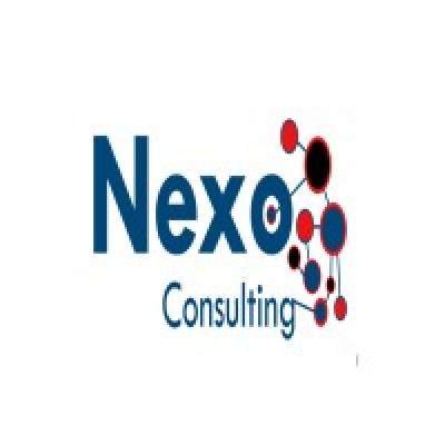 NEXO CONSULTING (PTY) LTD