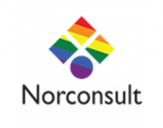Norconsult Africa (Pty) Ltd