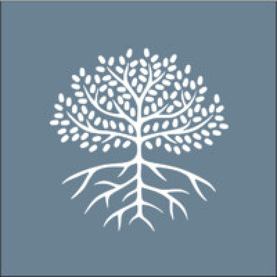 NoVo Foundation