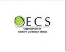 Organisation of Eastern Caribbean States (St. Vincent and the Grenadines) avatar
