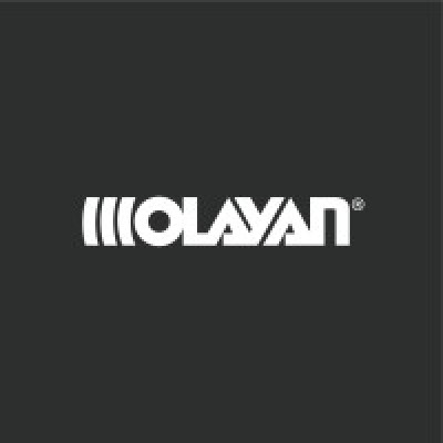 Olayan Financing Company