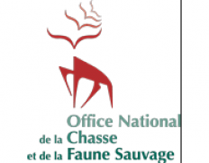 ONCFS - Office National de la Chasse et de la Faune Sauvage