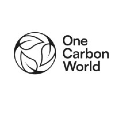 One Carbon World Ltd