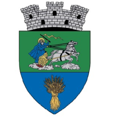 Orasul Costesti (Primaria Costesti)