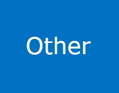 Other Other
