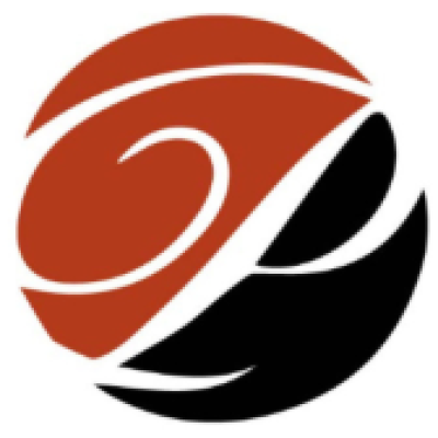 Paladin Cloud Systems Limited