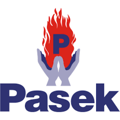Pasek Minerales