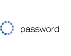 PASSWORD CONSULTING SERVICES S