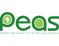 PEAS Promoting Equality in African Schools