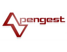 Pengest - Planeamento, Engenharia e Gestão S.A.