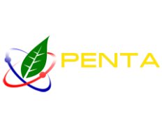 PENTA Consultant