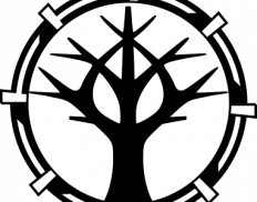 Perun Technologies