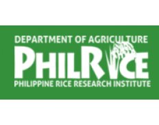 PhilRice - Philippine Rice Research Institute