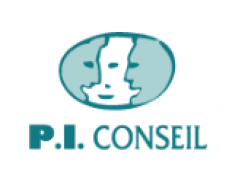 PI Conseil