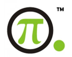 PI Consulting