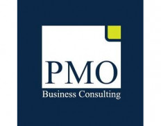 PMO Consulting