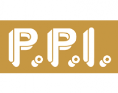 PPI BF - Projet Production International