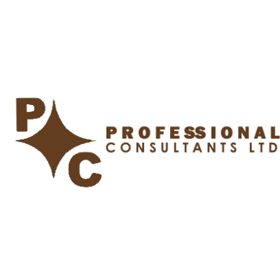 Professional Consultants ltd