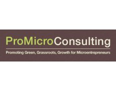 ProMicro Consulting
