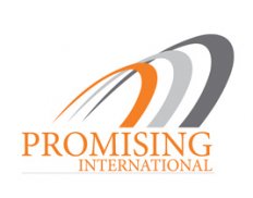Promising International Tradin