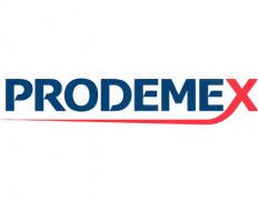 Promotora y Desarrolladora Mexicana S.A. de C.V (PRODEMEX)