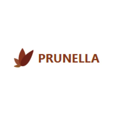 Prunella Talent Ltd.