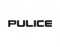 Pulice Construction, Inc. (part of Dragados S.A.)