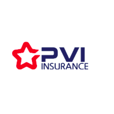 PVI Insurance Corporation