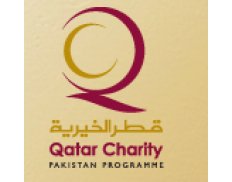 Qatar Charity International