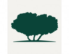 Qatar Foundation