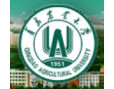 Qingdao Agricultural College R