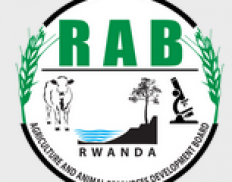 Rwanda Agriculture and Animal Resources Development Board