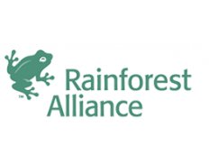 Rainforest Alliance (Alianza para Bosques)