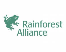 Rainforest Alliance - Netherlands