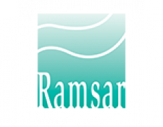 Ramsar Convention Secretariat
