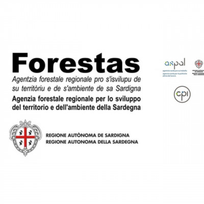 FoReSTAS - Regional forestry a