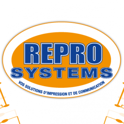 ☑️Repro Systems — Consulting Organization from Senegal, experience with ...