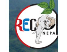 Research and Conservation of N