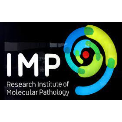 Research Institute of Molecula