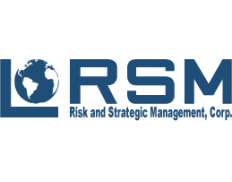RSM - Risk and Strategic Manag