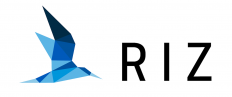 RIZ Consulting (Pakistan)