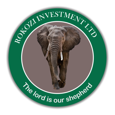 Rokozi Investment Ltd