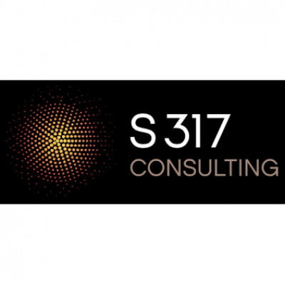S317 Consulting