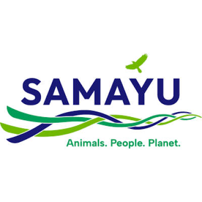 Samayu