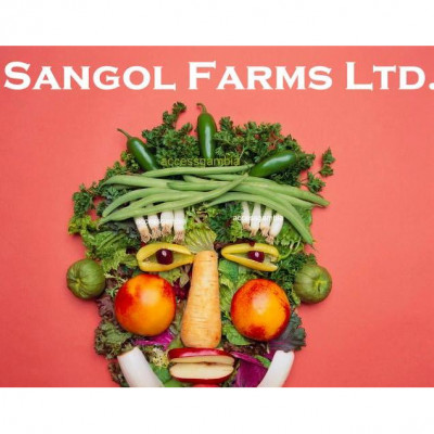 Sangol Holding Ltd. (Sangol Fa