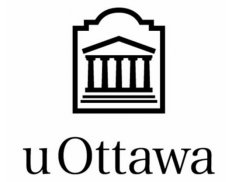 School of International Develo